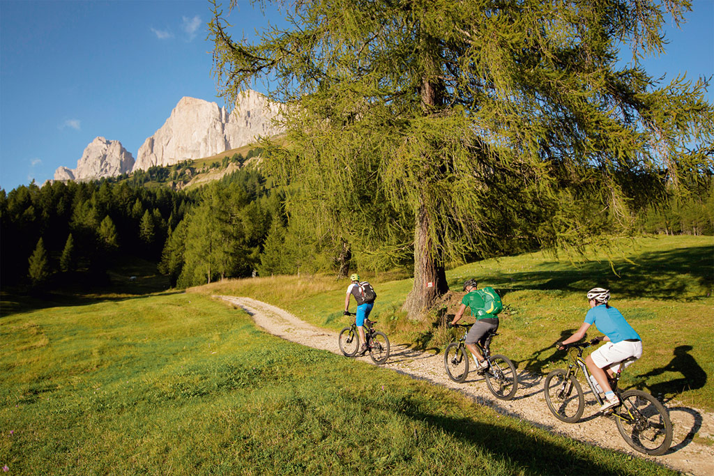 Mountain biking in South Tyrol