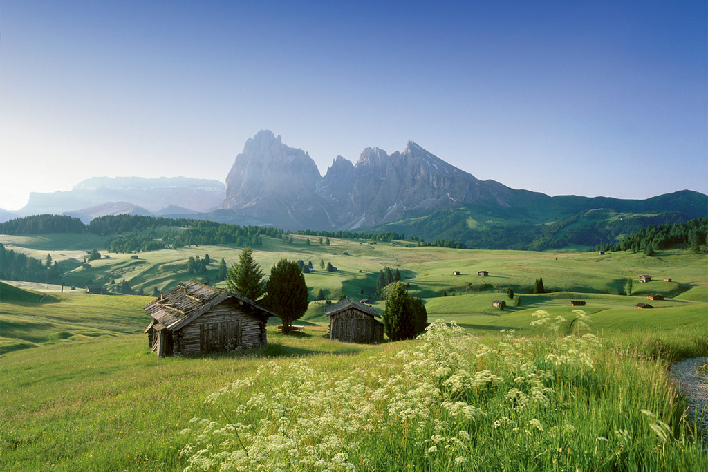 Alpe di Siusi in summer