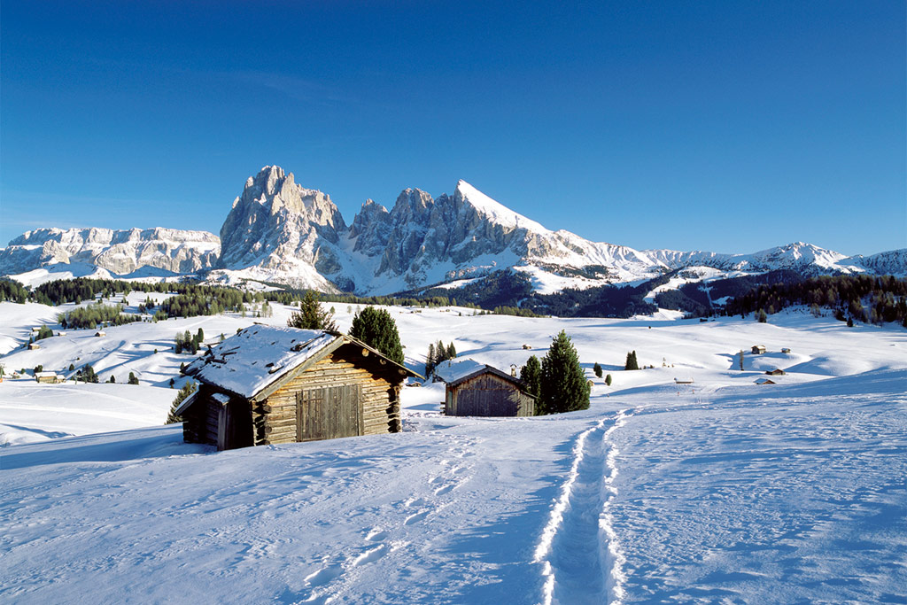 Alpe di Siusi in winter